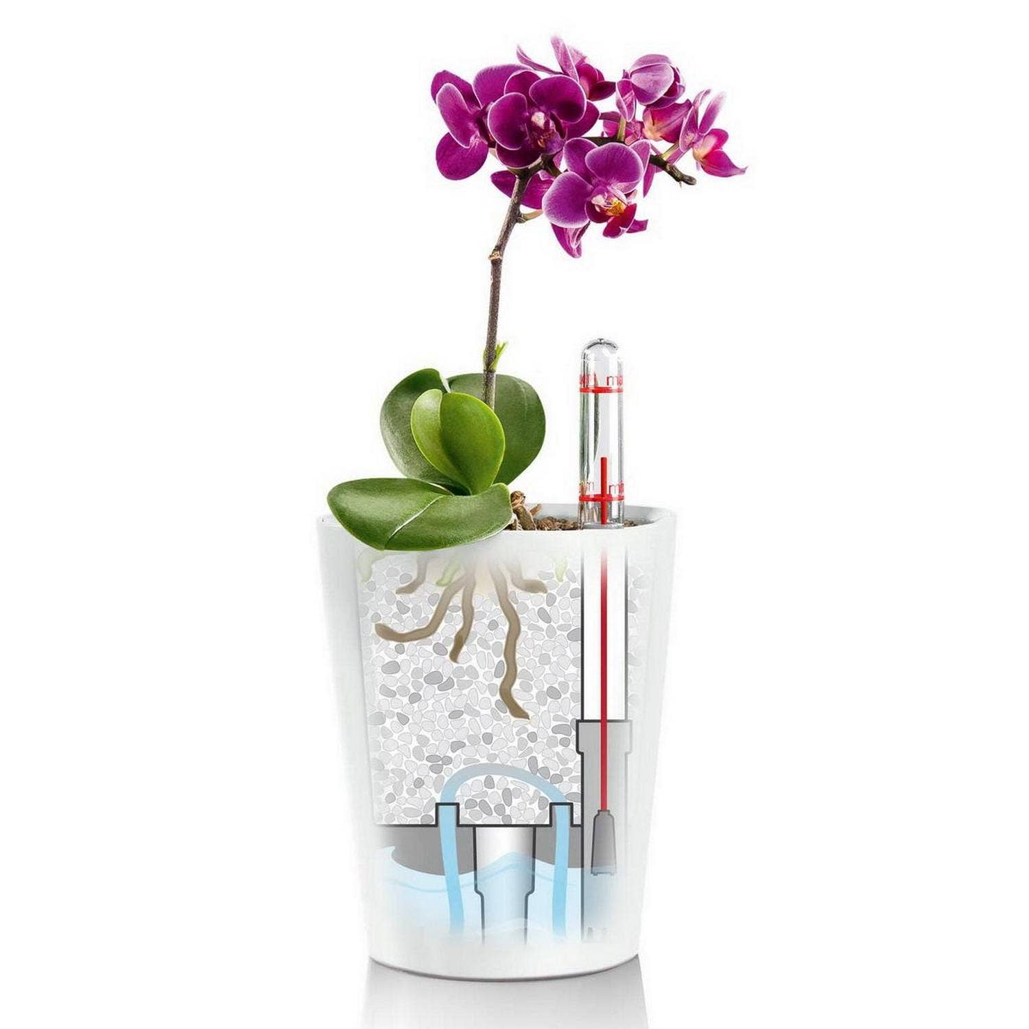 Lechuza Self Watering Planters - Vendita all'ingrosso Vasi per piante - Lechuza Deltini e Mini-Deltini vaso da tavolo in poliresina con sistema di autoirrigazione21