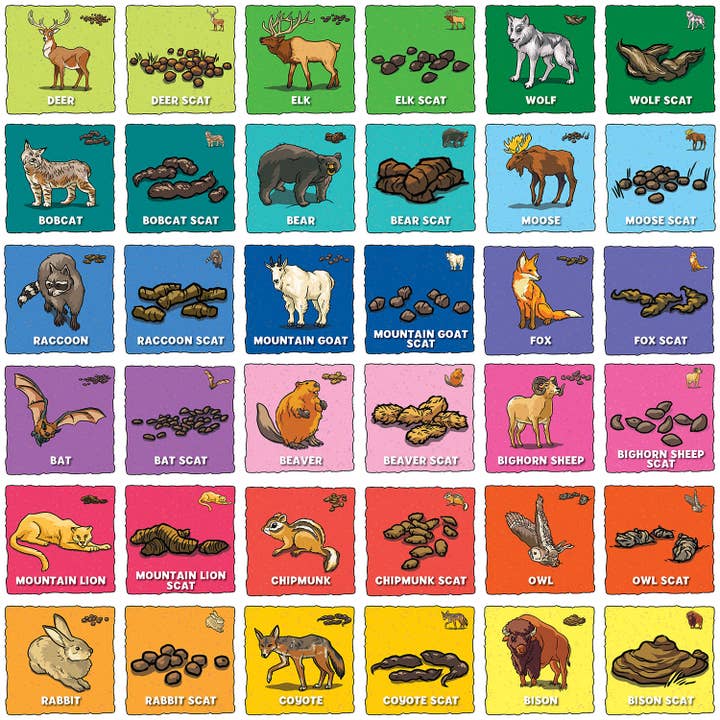 Masterpieces Puzzles - Wholesale Card Game - Animal Poop Matching Game1