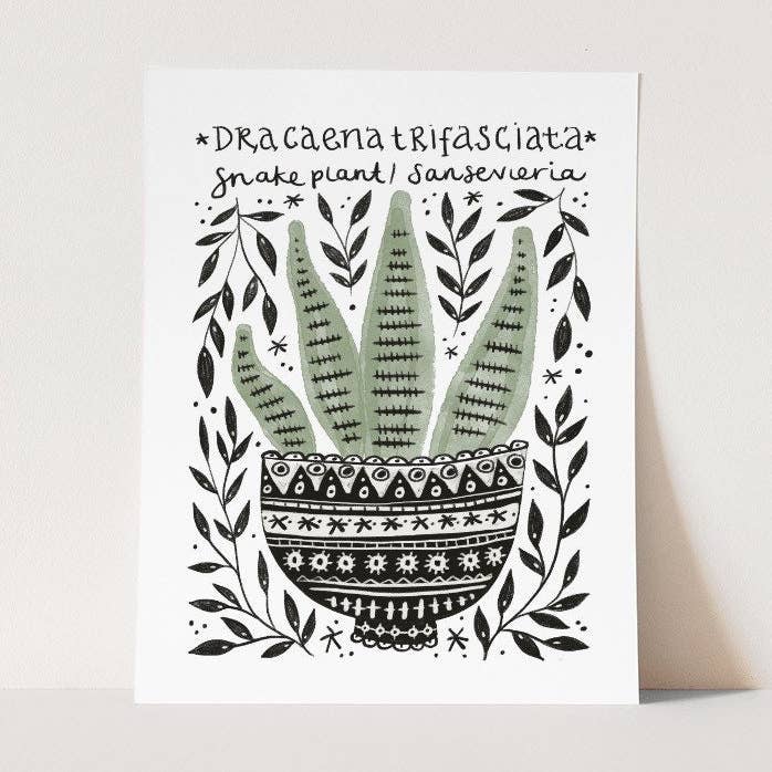 Snake Plant Print - A4 for wholesale by Juniper Press