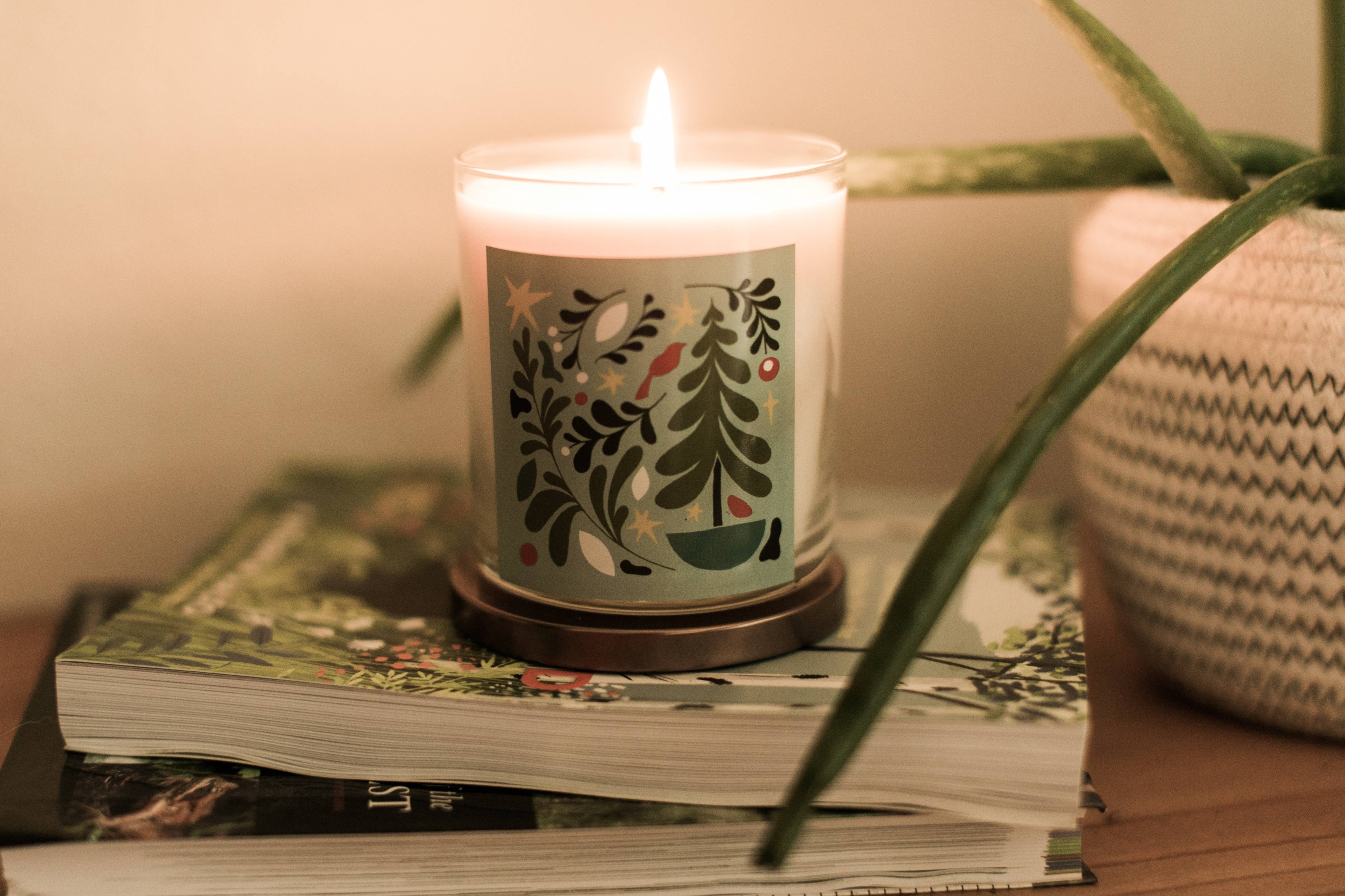 Northwest Sparks - Wholesale Jar/Filled Candle - Celebrate Soy Wax Jar Filled Candle with Pine Scent1