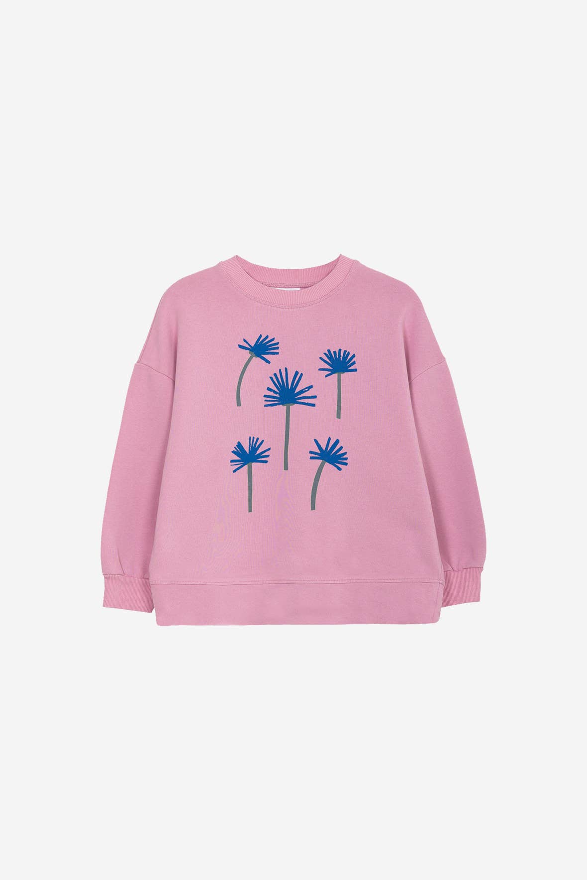 OXOX CLUB - Venta al por mayor Sudadera - Niños - Sudadera de algodón orgánico con estampado de aciano2