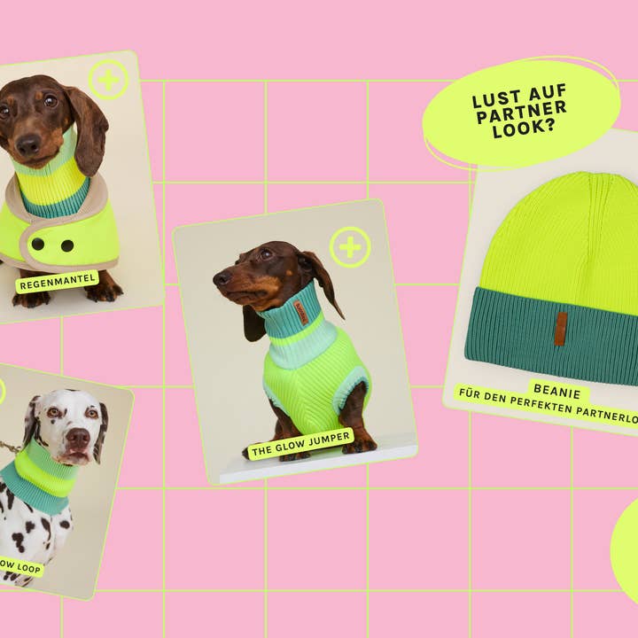 Neon Matcha THE GLOW LOOP 2.0 (Neon Matcha) for wholesale on Faire4