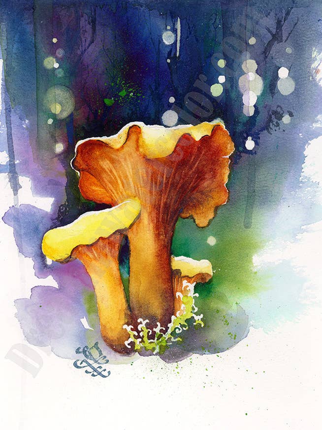 Chanterelles - Mushroom Collection Print for wholesale by Dream In Watercolor