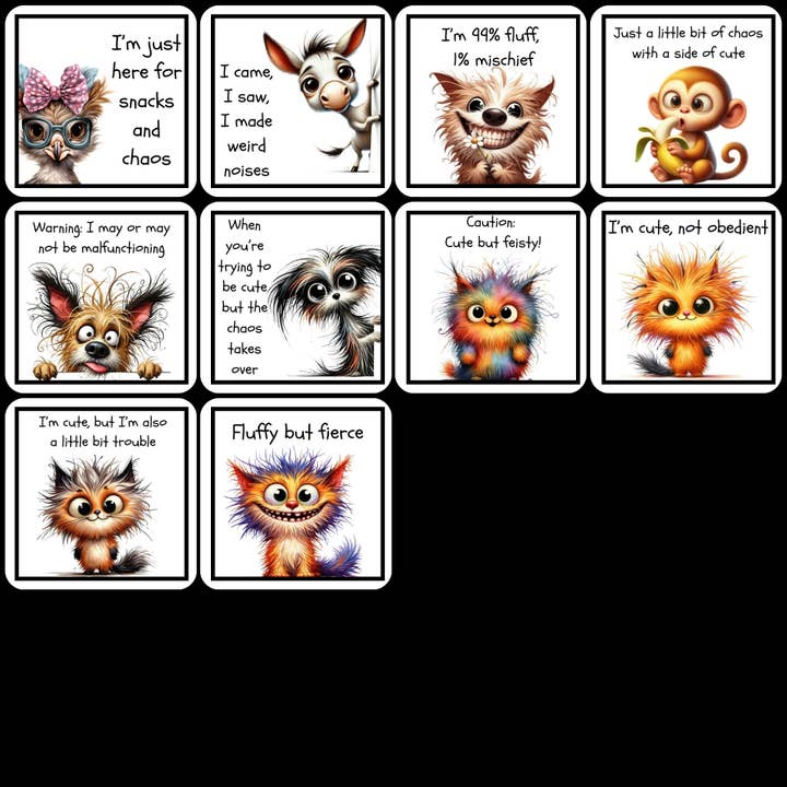 Magnets - Sassy Gallery 5 for wholesale by Nimblepic