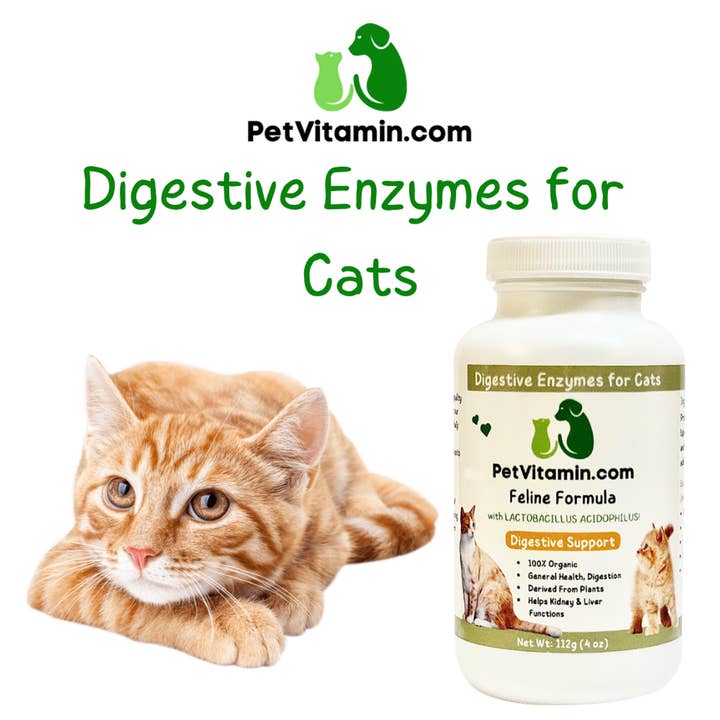 Pet Vitamin - Wholesale Pet Supplement - Cat - Feline Digestive Enzymes 4 oz