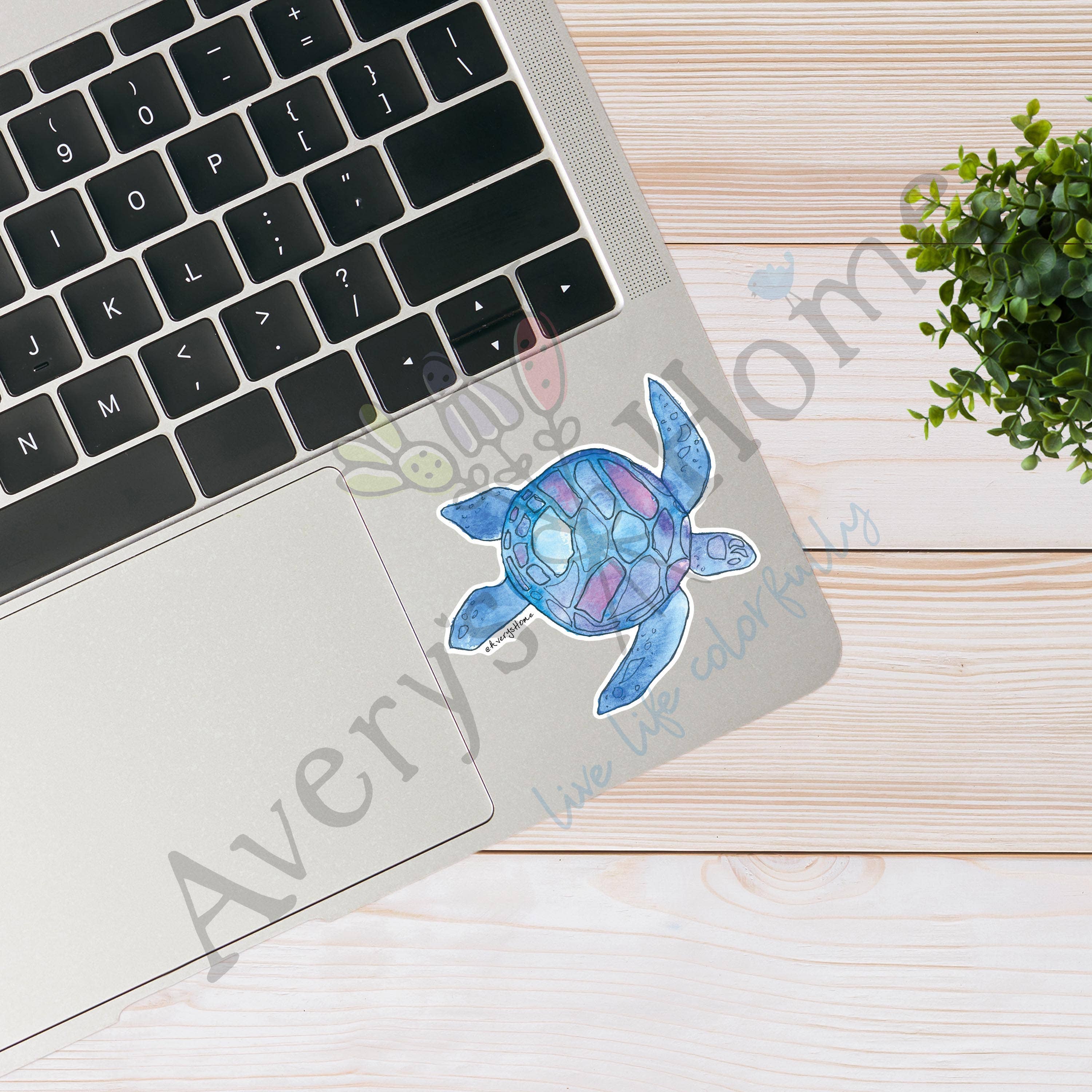 Avery's Home - Wholesale Sticker - Blue Watercolor Sea Turtle 3" White Vinyl Die-Cut Sticker1