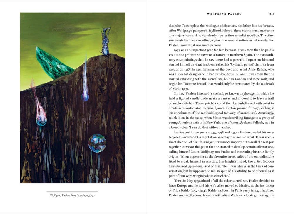 W. W. Norton - Wholesale Biography & Memoir - The Lives of the Surrealists9