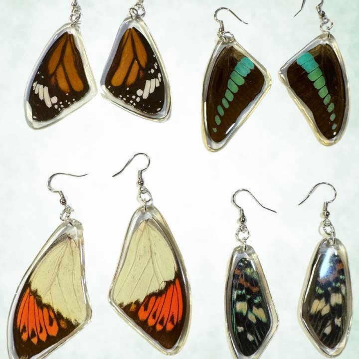 El Paso Saddleblanket - Wholesale Dangle Earrings - New ! Real Butterfly Wing Earrings,0
