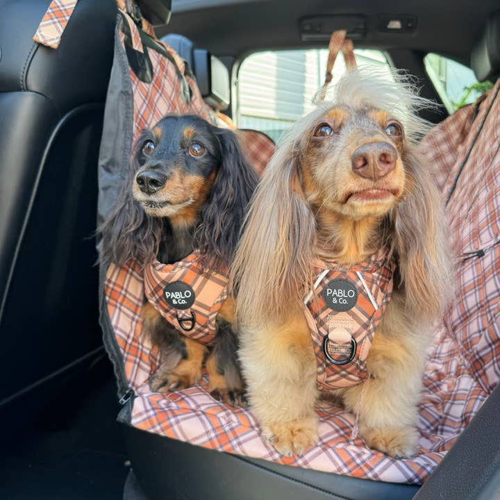 Pablo & Co. Boutique - Wholesale Pet Harness - Dog - Kensington: Adjustable Harness