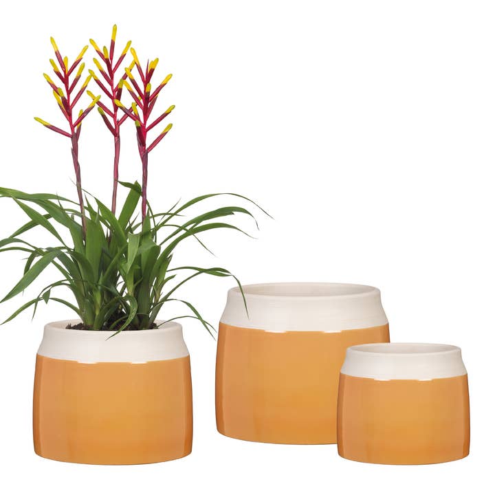 Scheurich - Wholesale Plant Pot - Jarro 717 ceramic flower pot/planter8