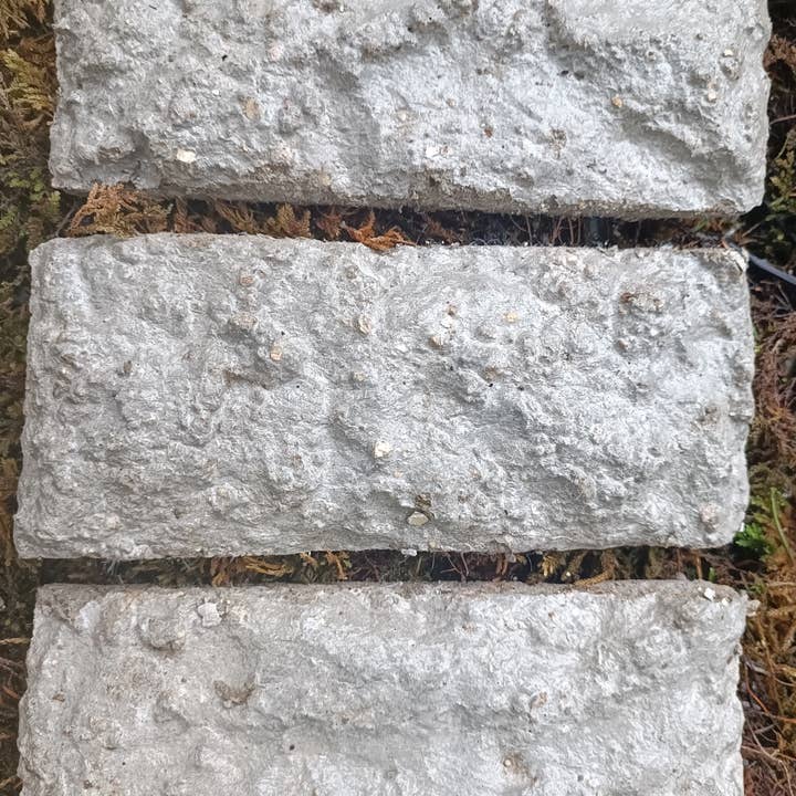 Moss wholesale - Wholesale Retailer Display - Home & Living - Living wall tiles with moss and ferns 5