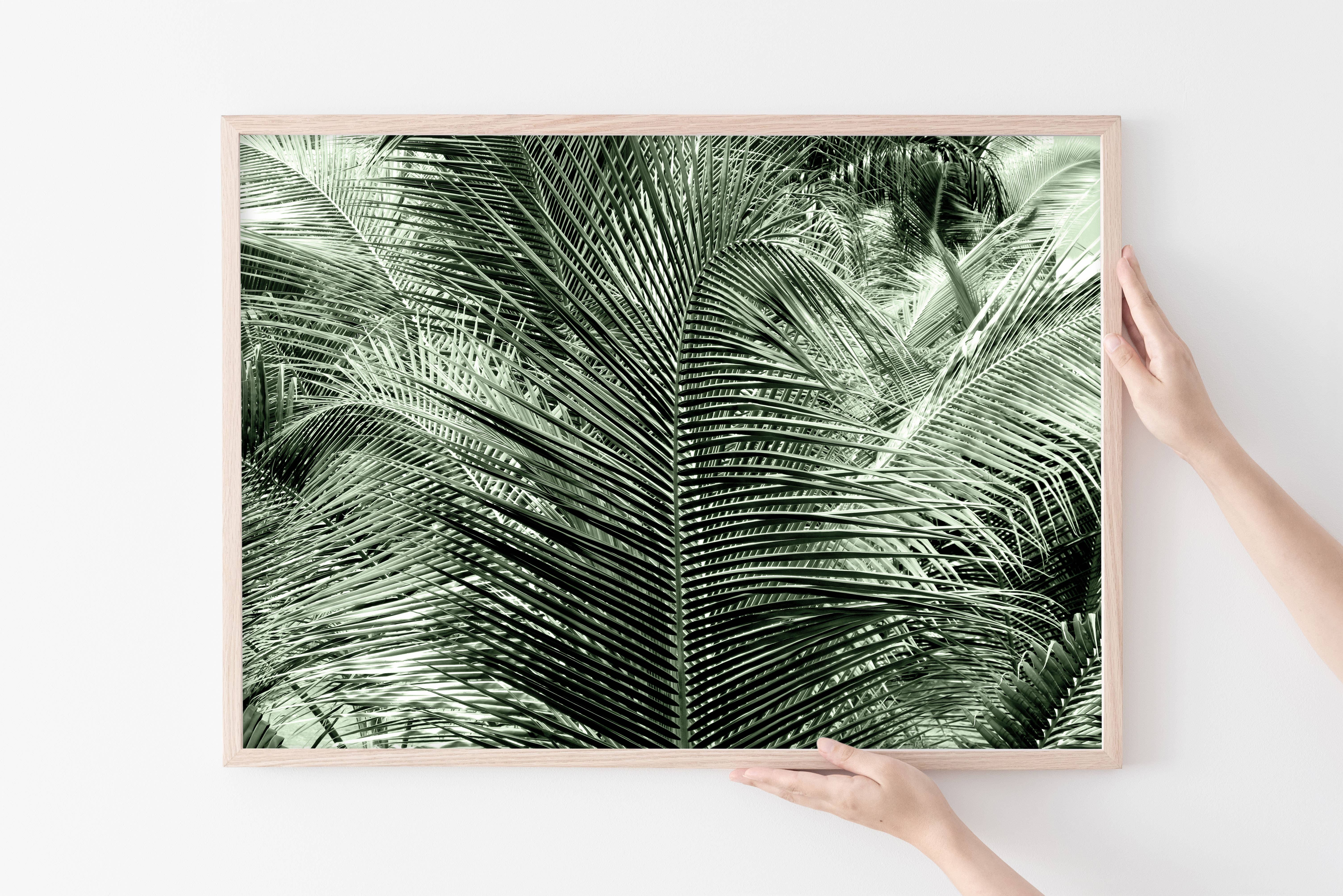 Veni Etiam Photography - Wholesale Art Print - Palm Tree Boho Wall Art9