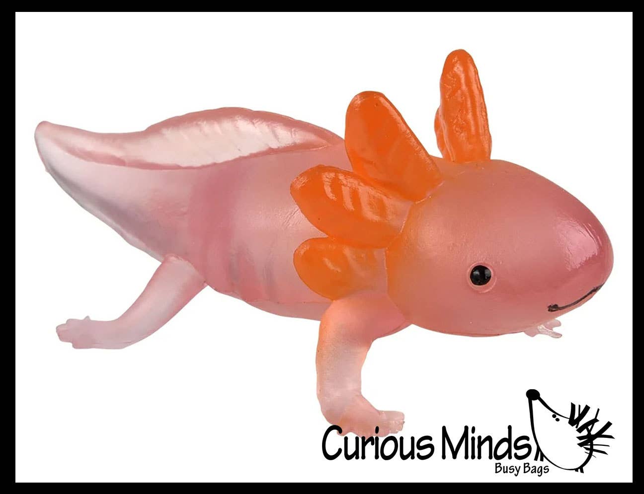 Curious Minds Toys – wholesale Fidget Toy - Barn – 1 påse med 12 realistiska 2,5" färgglada små axolotler-figurer11