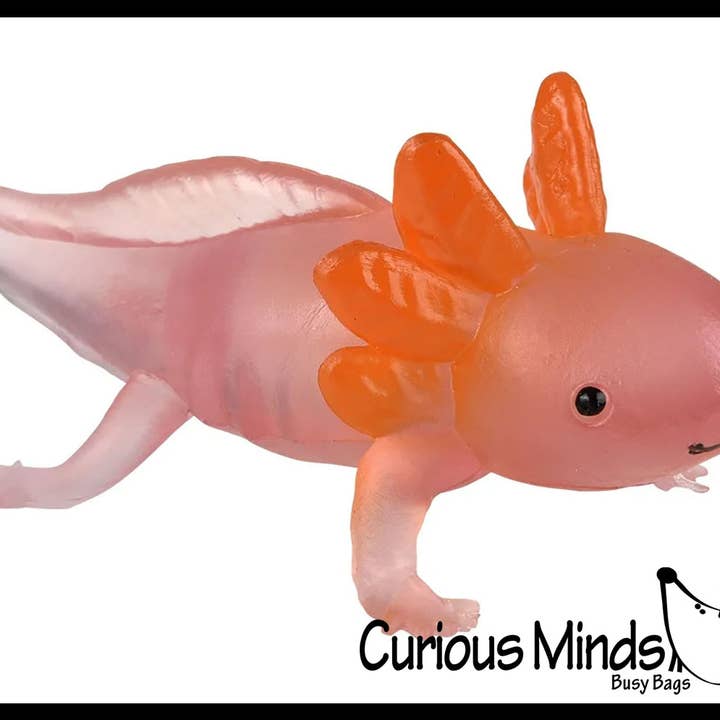 Curious Minds Toys – wholesale Fidget Toy - Barn – 1 påse med 12 realistiska 2,5" färgglada små axolotler-figurer11