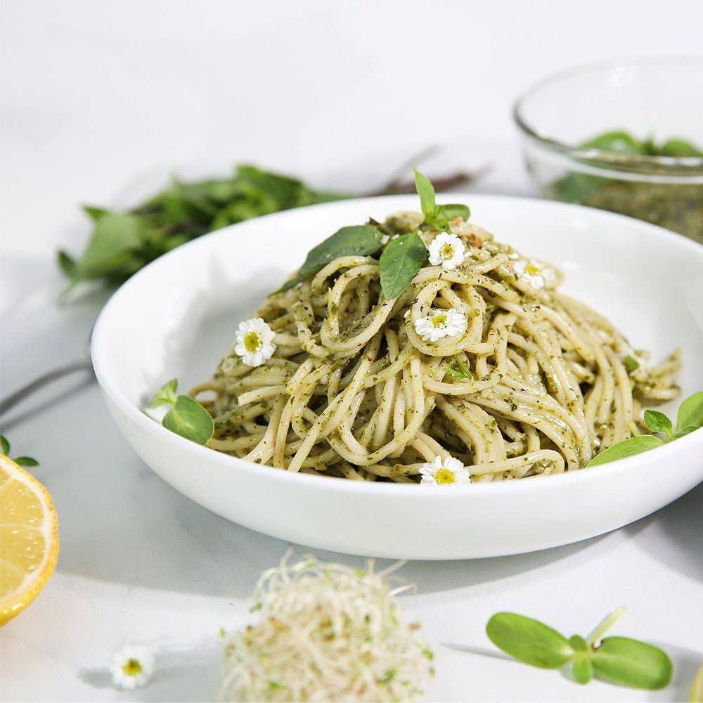 Sproutman - Vente Graines de plantes - Graines biologiques de brocoli pour germination2