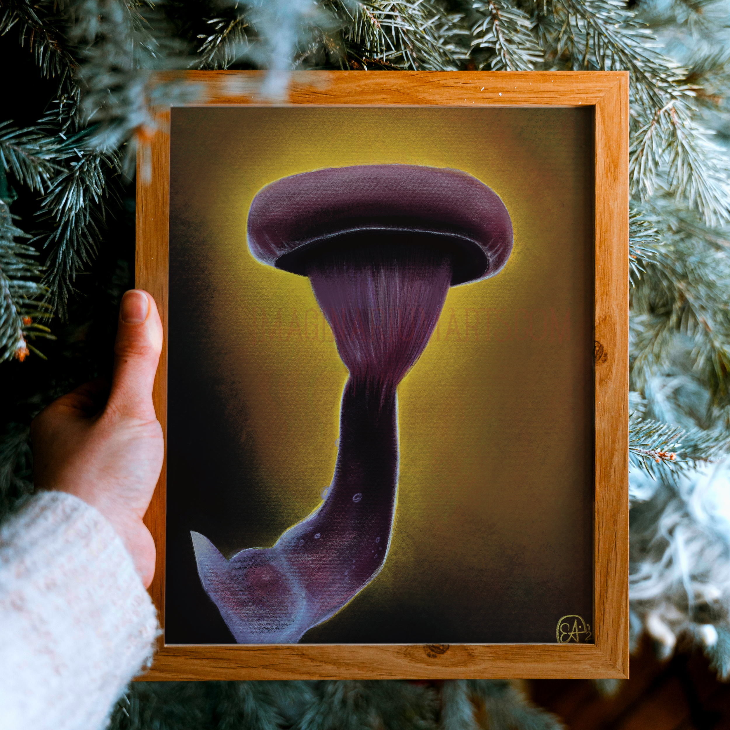 Imaginarium Arts - Wholesale Art Print - Purple Fungi Fine Art Print, 8x101