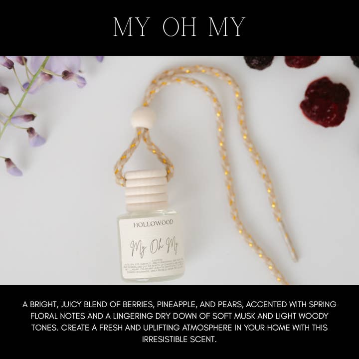 Hollowood Home and Candle - Wholesale Car Freshener - Unisex - SPRING CAR DIFFUSERS