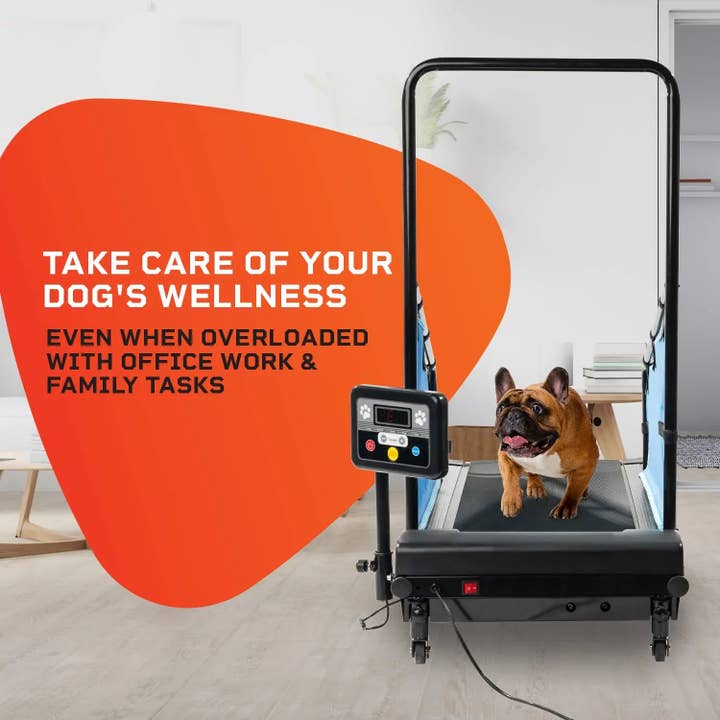 LifePro - Wholesale Fitness Equipment - PawRunner Pet Treadmill