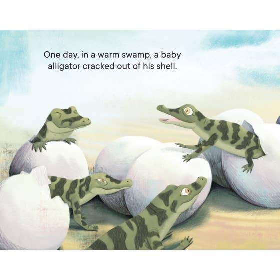 Penguin Random House LLC - Wholesale Preschool Book (3-5) - Claude : The True Story of a White Alligator1