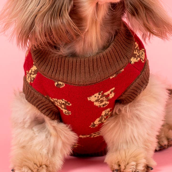 Pablo & Co. Boutique - Vente Pull – chien - Pull tricoté pour chien Henry Bear0