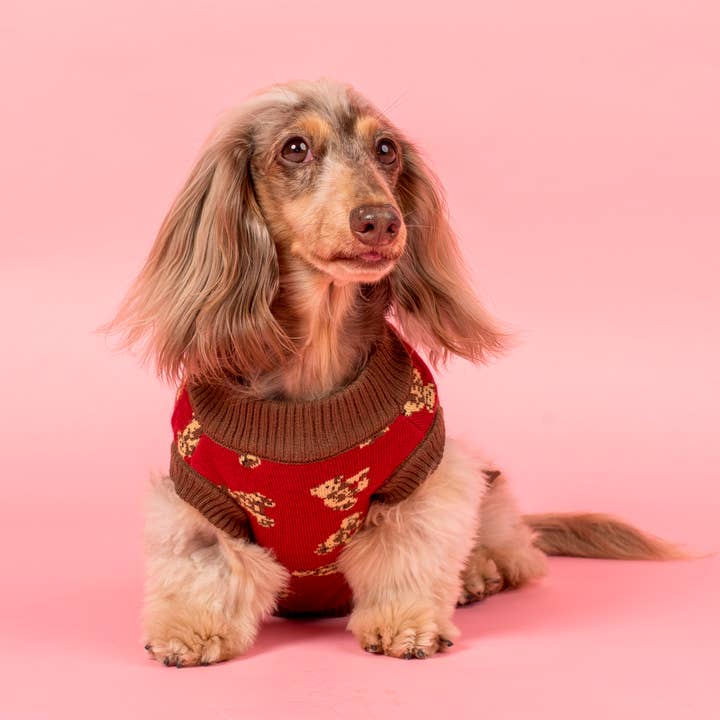 Pablo & Co. Boutique - Wholesale Pet Sweater - Dog - Henry Bear Dog Knit Sweater