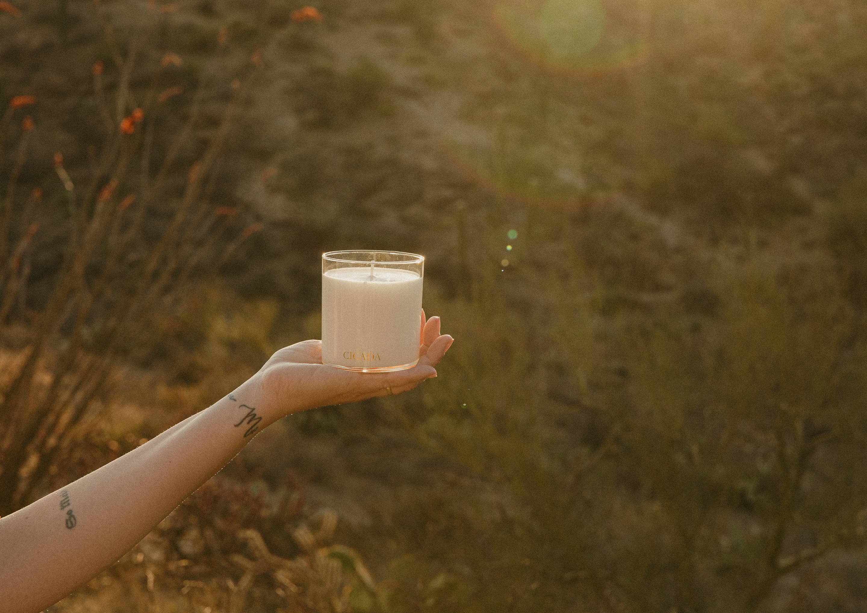 CICADA - Wholesale Jar/Filled Candle - No. 09 Medium Candle - the scent of prickly pear1