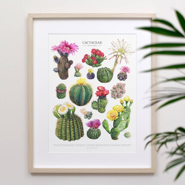 Aaron Apsley Artwork – Engroshandel Kunsttryk – Blomstrende Kaktus Arter Print