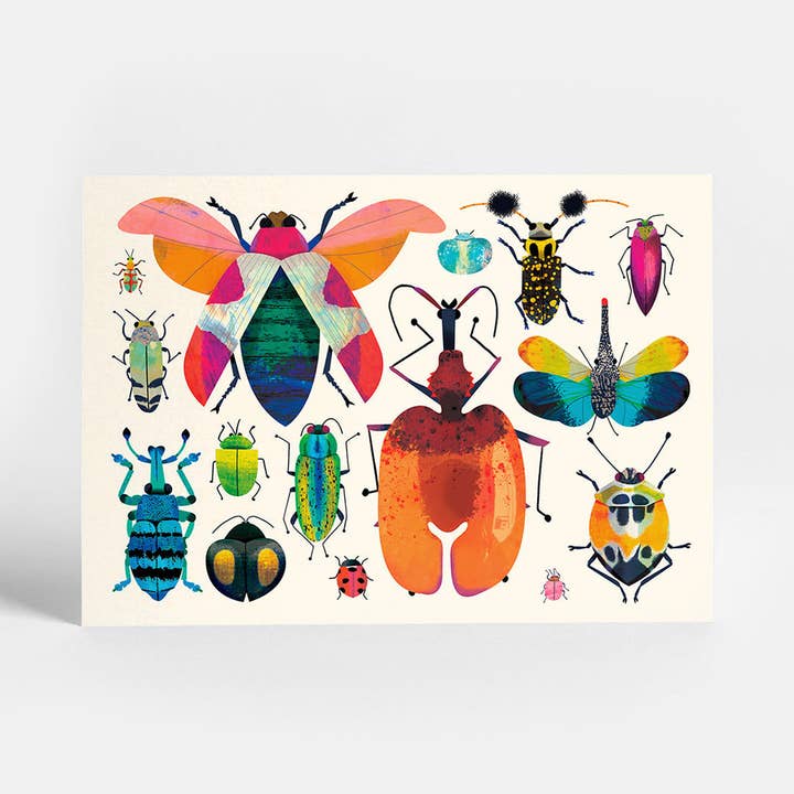 Sunny Beast - Wholesale Postcard - Bug Collection | Postcard