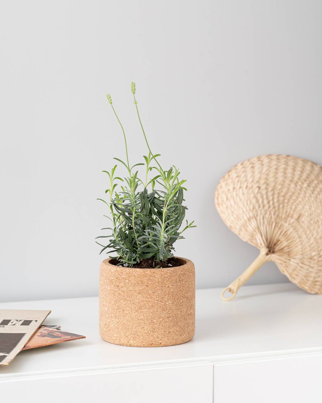 Life in a bag - Wholesale Plant Pot - Grow Cork Lavender1