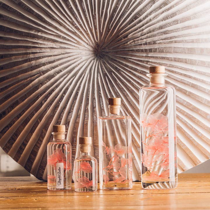 Theophile Berthon - Wholesale Live Plant - L'Herbarium Hortensia rose - Submerged flower10