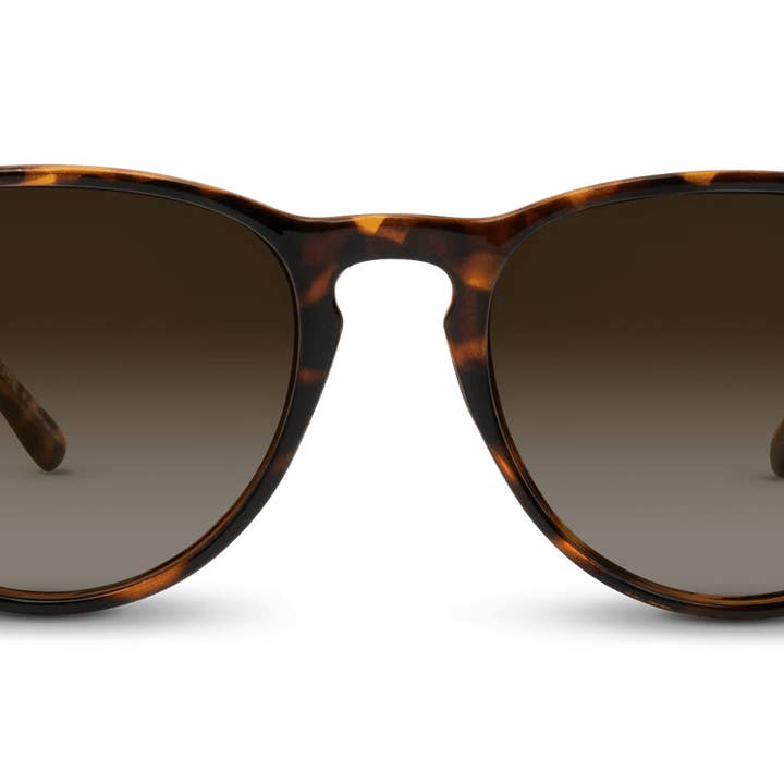 Shockoe for wholesale by SPARE-SPECS, LLC