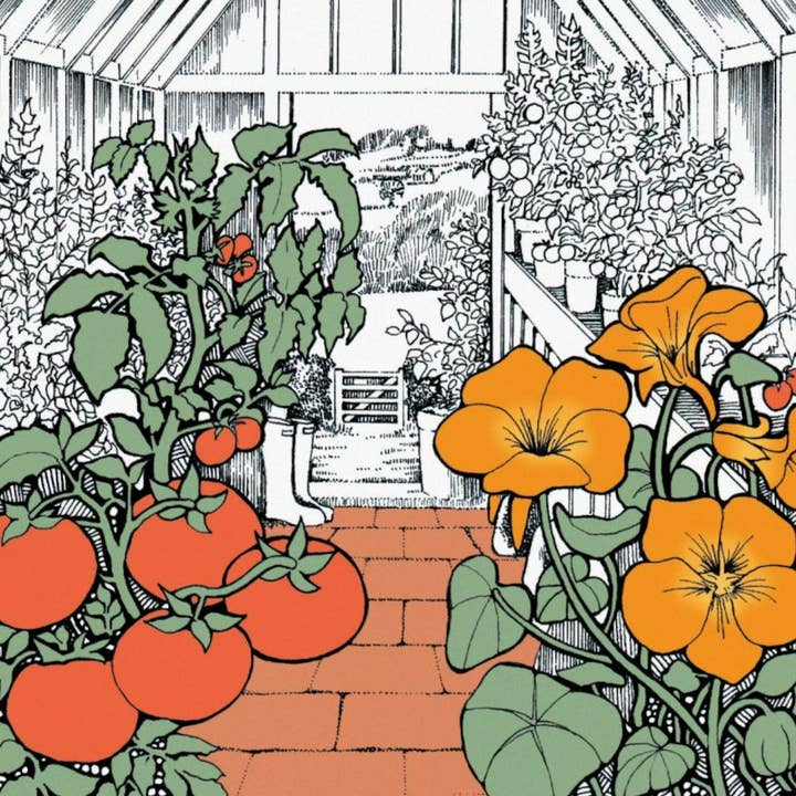 Greenhouse for wholesale by Alff a Bet Design