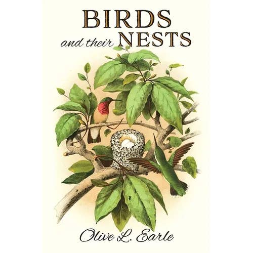 Books by splitShops - Wholesale Nature & Outdoors - Birds and their Nests - Paperback