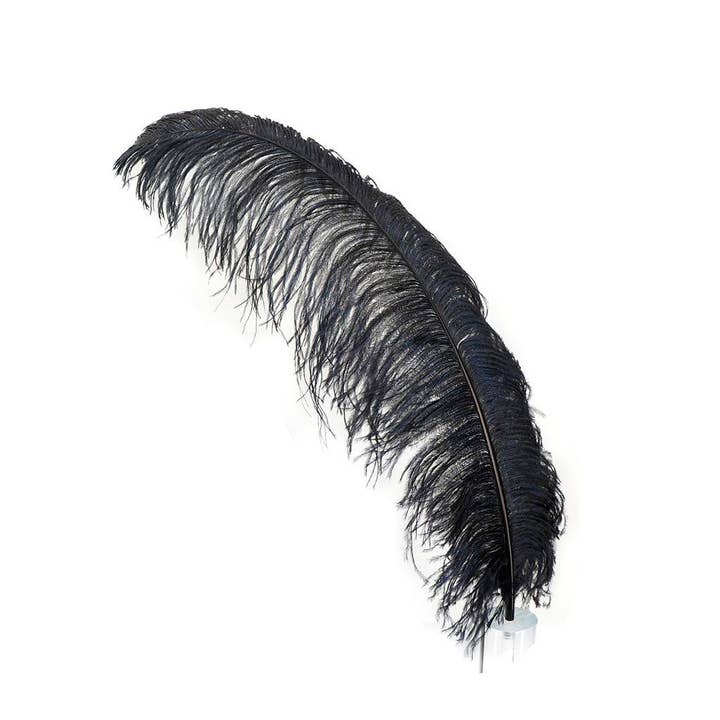 Large Ostrich Feathers - 24-30" Prime Femina Plumes - Black for wholesale by Zucker Feather Products