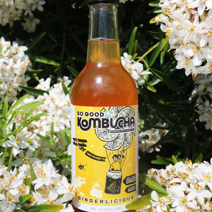 So Good Kombucha - Wholesale Kombucha - So Good Kombucha - Gingerlicious