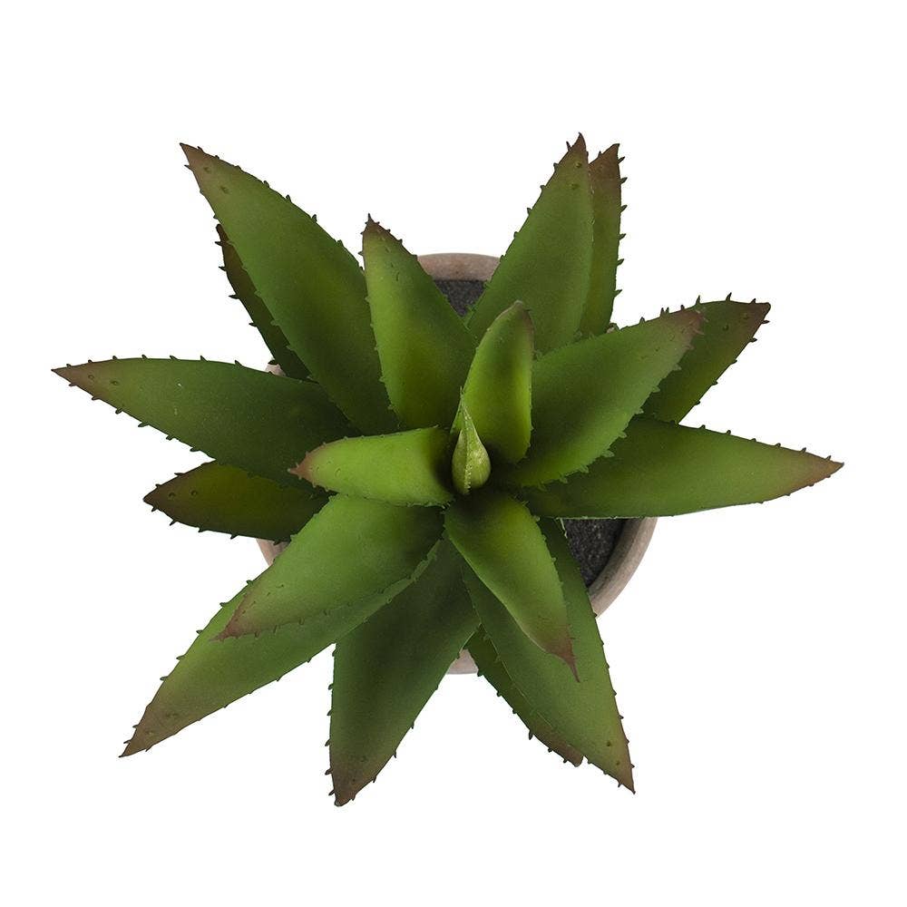 A&B Home Group Inc. – wholesale Artificial plant – Succulent2