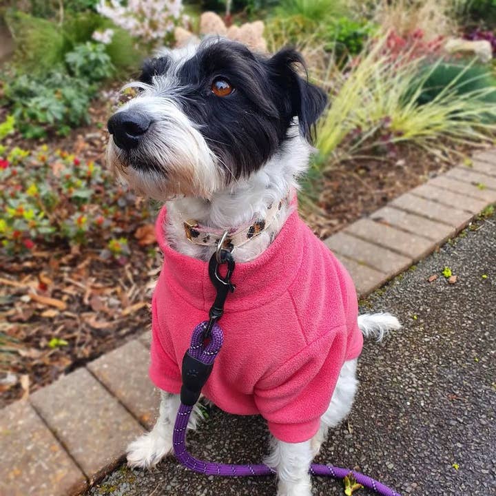 Polo coral resistente à água por atacado de Bella Katee Pets