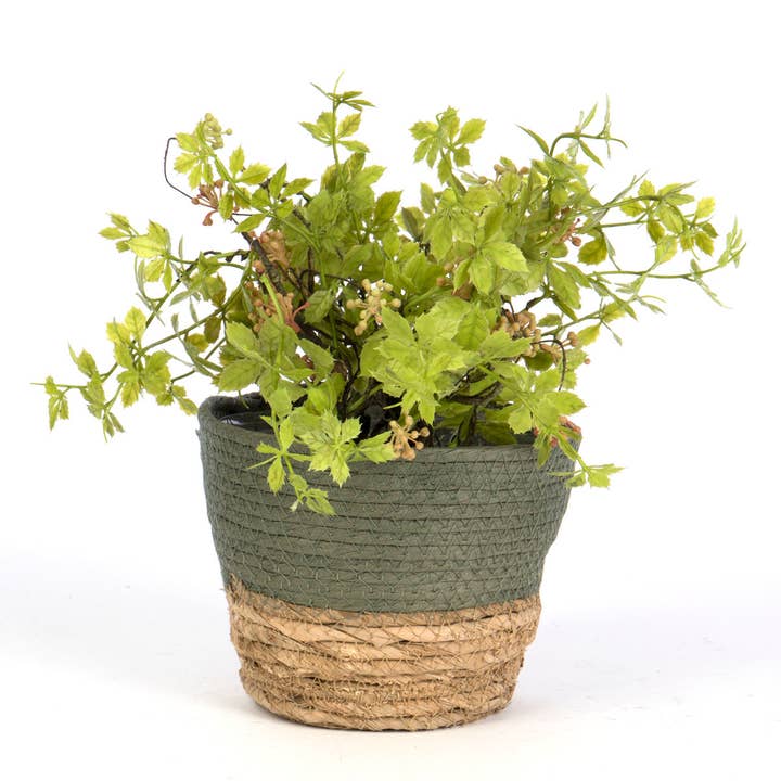 Willow Group - Wholesale Plant Pot - Round Maize Planter w/ Sewn-in Liner 7"D1