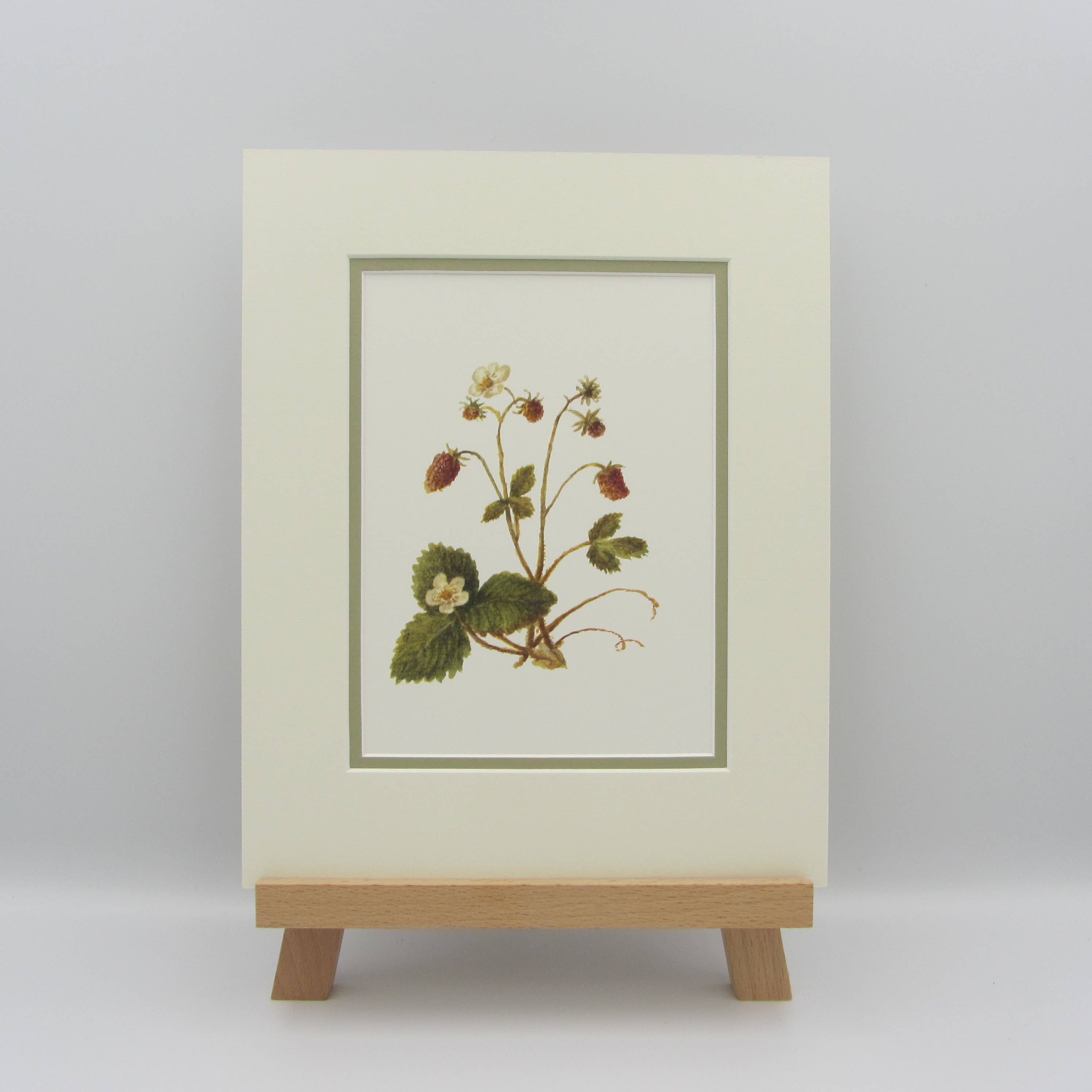 Sophia Davenport - Wholesale Art Print - Wildflower Watercolour Mounted A5 Prints10