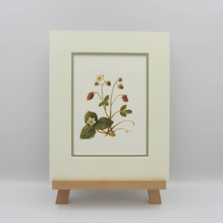 Sophia Davenport - Wholesale Art Print - Wildflower Watercolour Mounted A5 Prints10