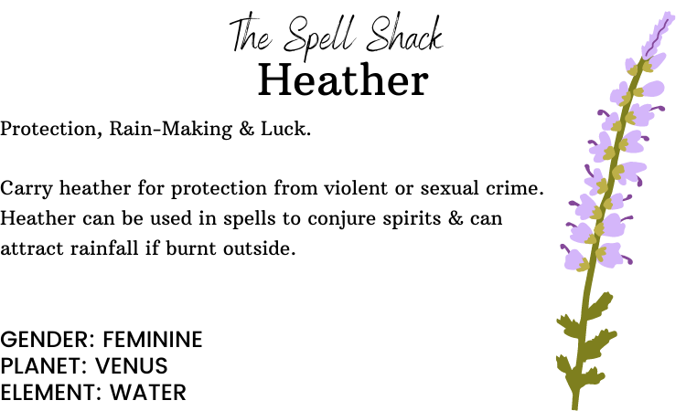 Witchuals - Rituals & Spellwork Apothecary - Vente Accessoire de méditation - Fleurs de bruyère5