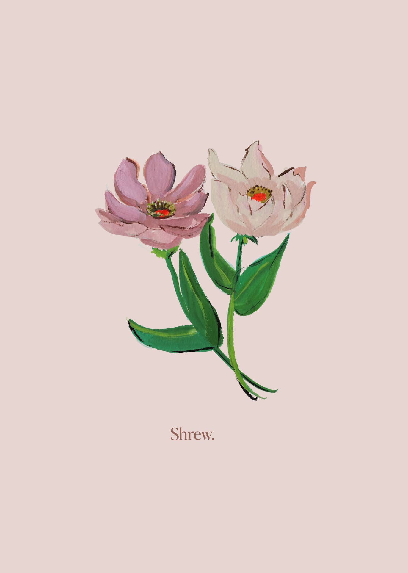 THE MANSION GIRLS - Wholesale Art Print - 'Blooming Shrew'. Art print by Janet Hill.  Framing not req.1