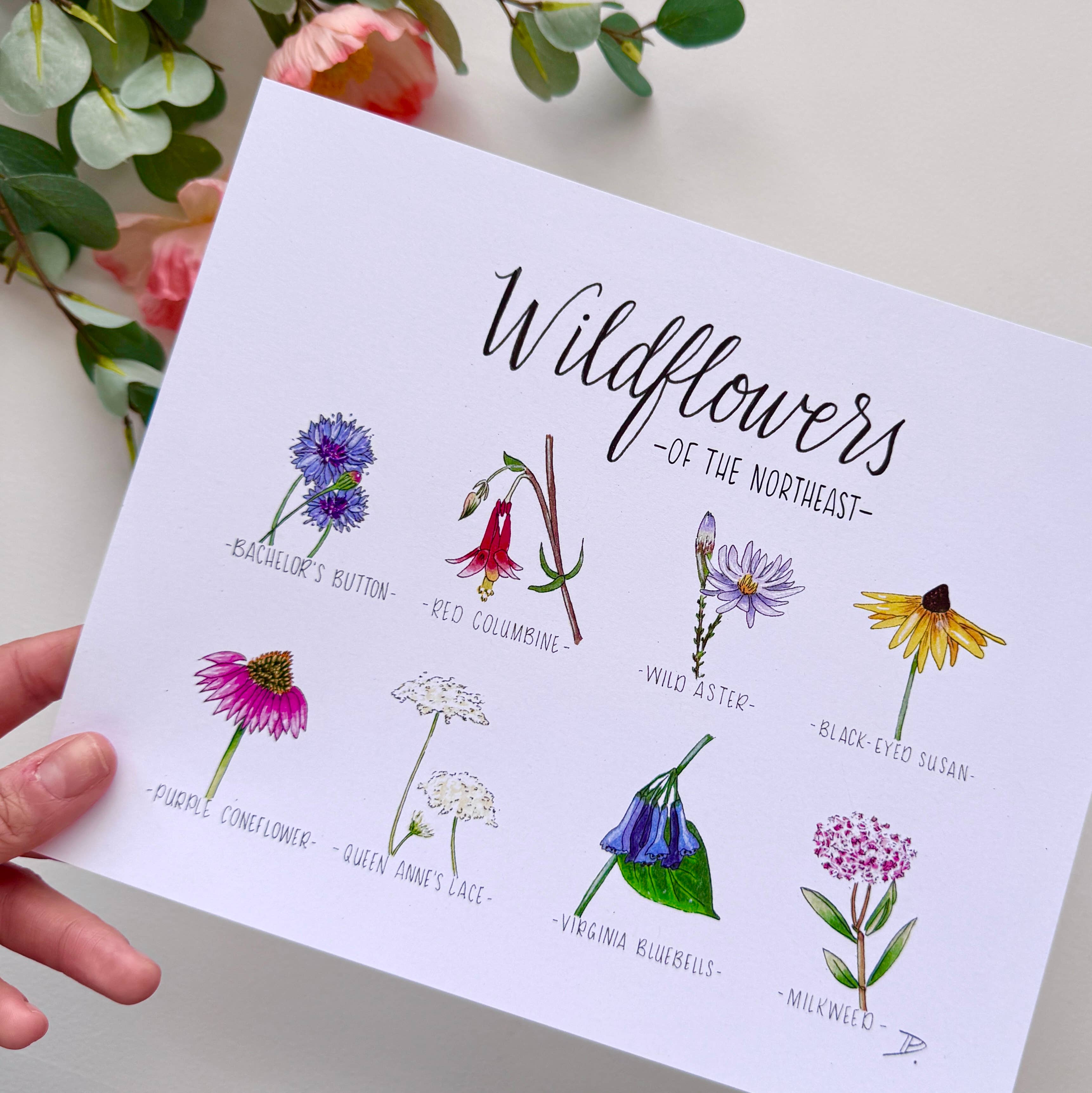 D. Prince Designs - Wholesale Art Print - Wildflowers of the Northeast | Recycled Cardstock Print1