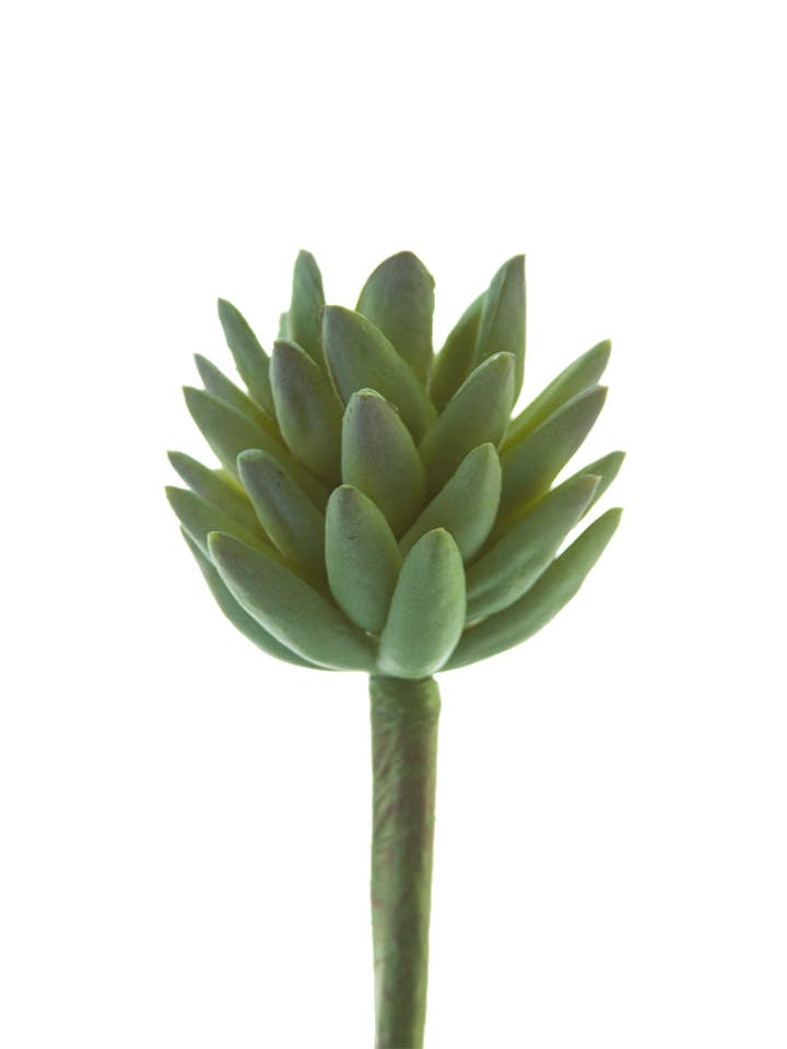 7" AGAVE STEM for wholesale by American Best