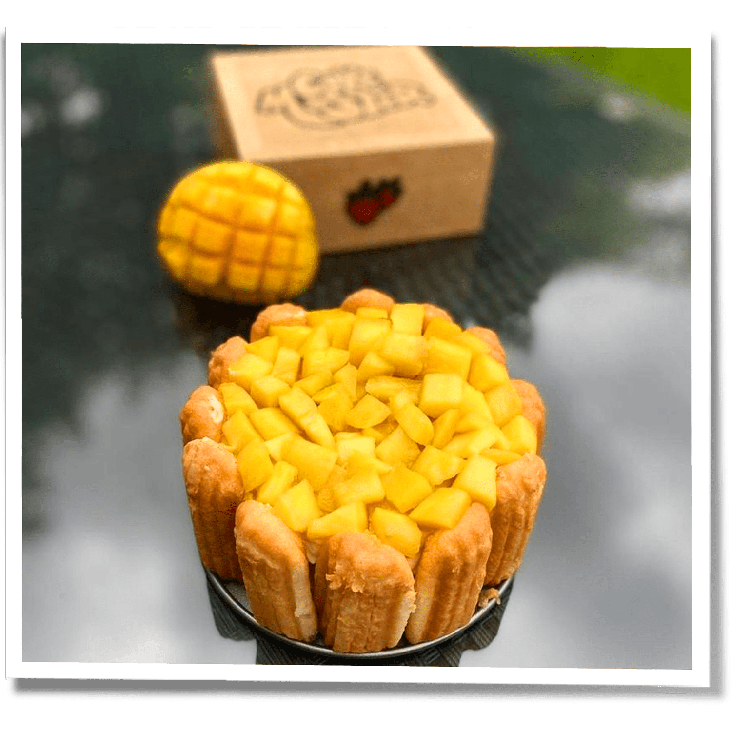 CAKE MASTER – wholesale Cake mix – Charlotte Mangue Passion3