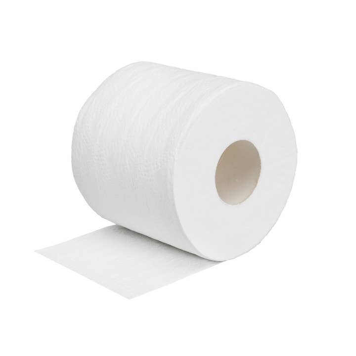 NatureZway - Wholesale Toilet Paper - Bamboo Bath Tissue | 2-Ply | 4 Rolls/Pack | Case of 483