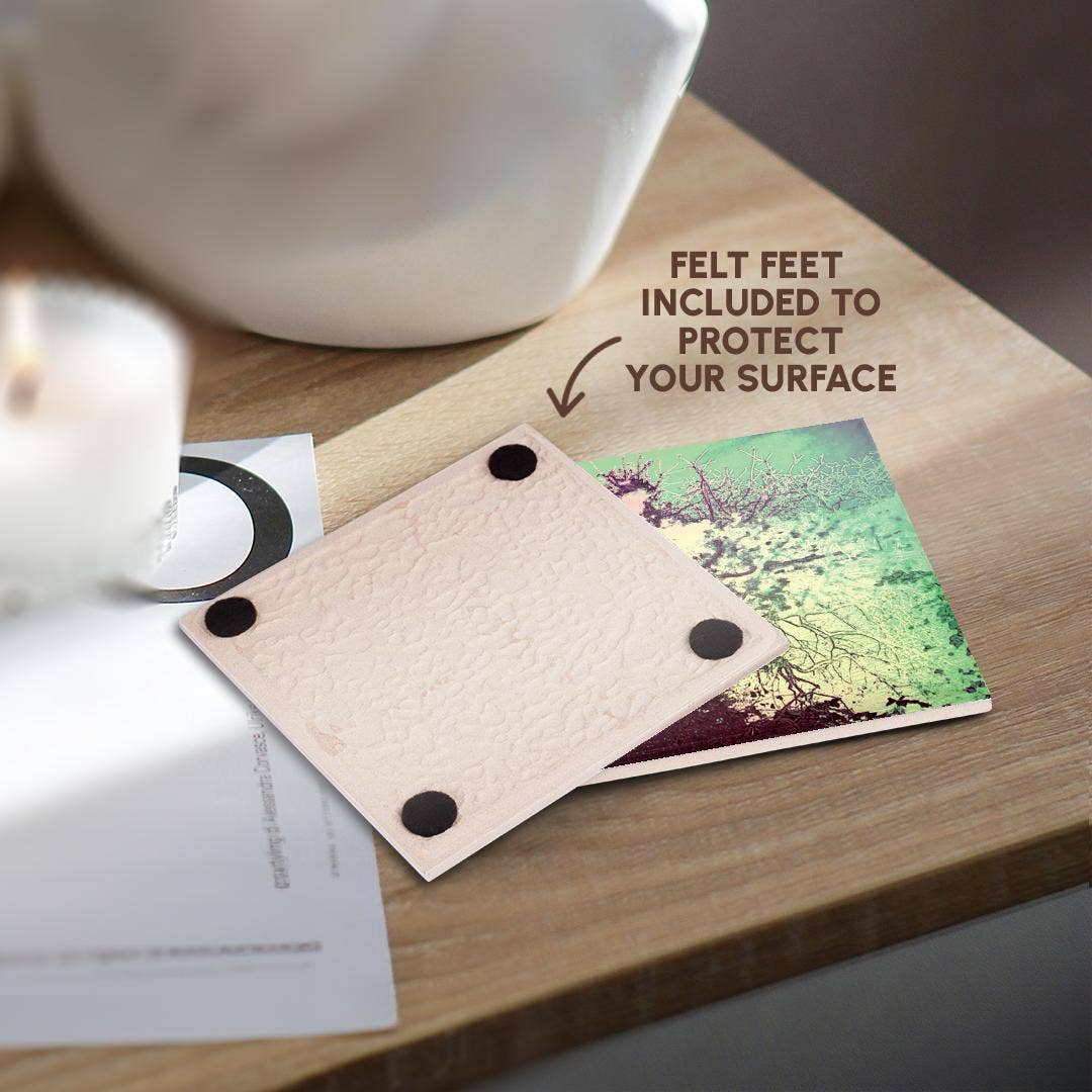 3dRose - Wholesale Coasters - 3dRose, Secluded Shoreline, Coaster3