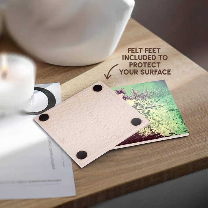 3dRose - Wholesale Coasters - 3dRose, Secluded Shoreline, Coaster3