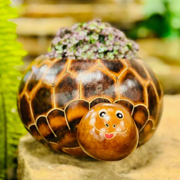 Maceta hecha a mano por Gourd para venta al por mayor de Blossom Inspirations