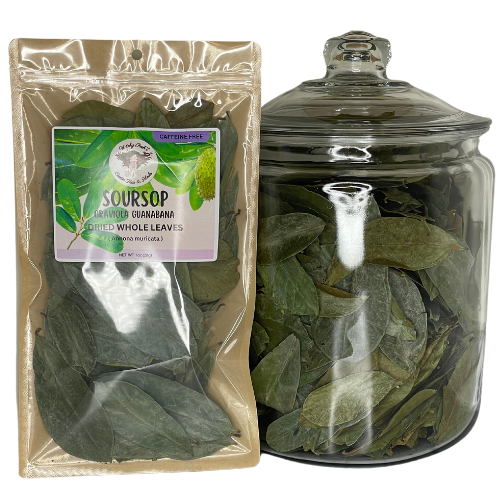 Witchy Pooh's Exotic Teas & Herbs – Chá solto por atacado – Chá de folha inteira de graviola Witchy Pooh's - sem cafeína2